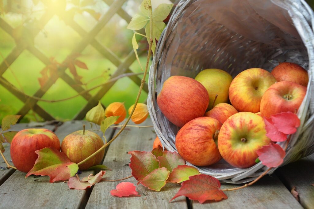 Der Apfel: Gesundheitstipp des Tages